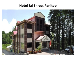 Book Hotel Jai Shree in patnitop