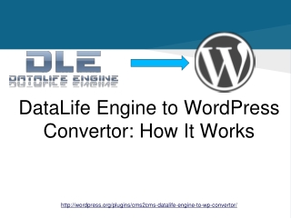 Automated DataLife Engine to WordPress Converter