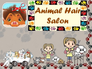 How to Care for Pet Animals - Learn from Animal Hair Salon