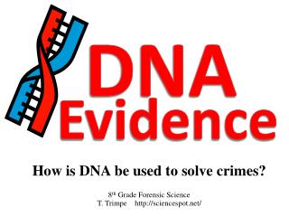 How is DNA be used to solve crimes? 8 th Grade Forensic Science T. Trimpe sciencespot/