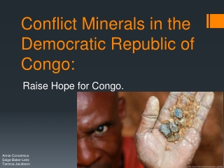 Conflict Minerals in the Democratic Republic of Congo: