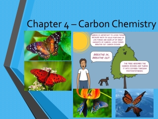 Chapter 4 – Carbon Chemistry
