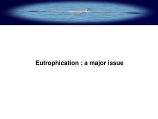 Eutrophication : a major issue