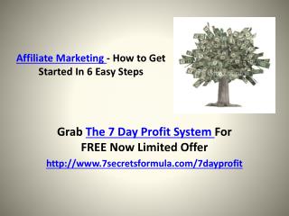 Affiliate Marketing - How to Get Started In 6 Easy Steps