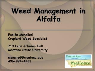 Weed Management in Alfalfa