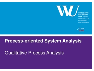 Process-oriented System Analysis
