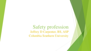 Safety profession