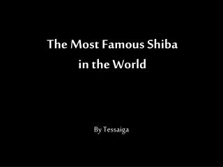 The Most Famous Shiba in the World