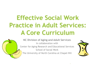 Effective Social Work Practice in Adult Services: A Core Curriculum