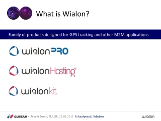 What is Wialon ?