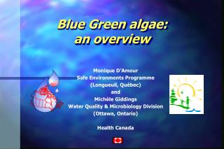 Blue Green algae: an overview