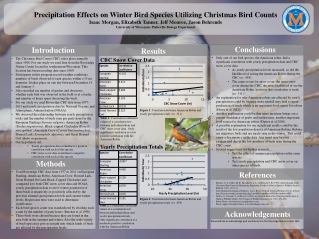 Precipitation Effects on Winter Bird Species Utilizing Christmas Bird Counts