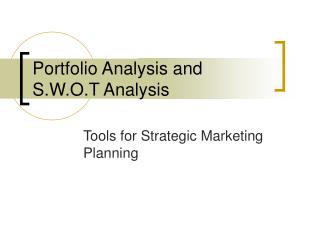 Portfolio Analysis and S.W.O.T Analysis