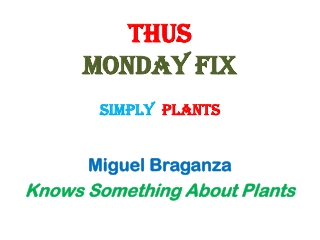 Thus Monday fix SIMPLY plants