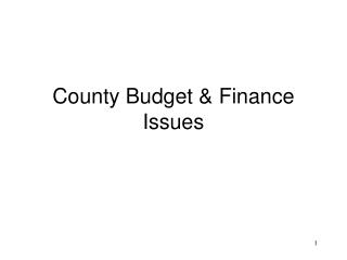 County Budget & Finance Issues