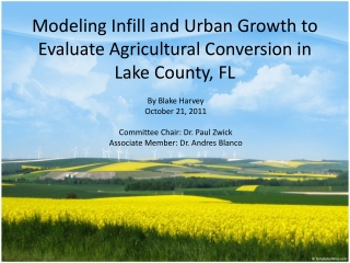 Modeling Infill and Urban Growth to Evaluate Agricultural Conversion in Lake County, FL
