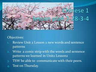 Chinese 1 lesson plan 2-28-3-4