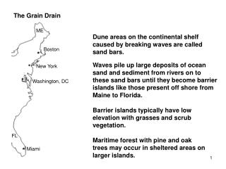 sand drains ppt