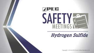 Hydrogen Sulfide