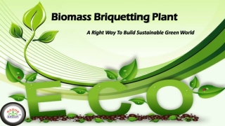 Biomass Briquetting Plant – A Right Way To Build Sustainable