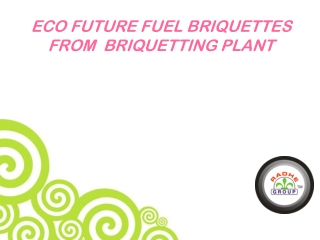 ECO FUTURE FUEL BRIQUETTES FROM BRIQUETTING PLANT