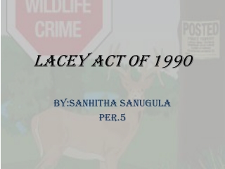 Lacey Act of 1990