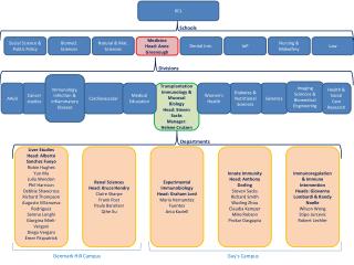 PPT - KCL PowerPoint Presentation, free download - ID:1529341