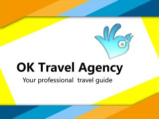 OK Travel Agency