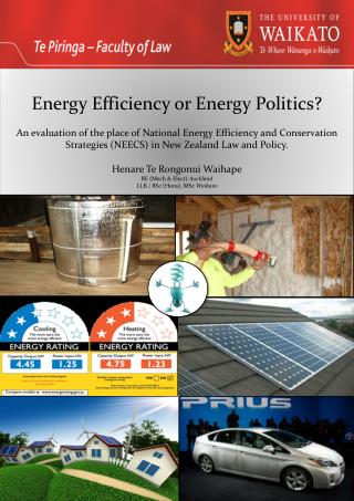 Energy Efficiency or Energy Politics?