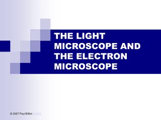 THE LIGHT MICROSCOPE AND THE ELECTRON MICROSCOPE