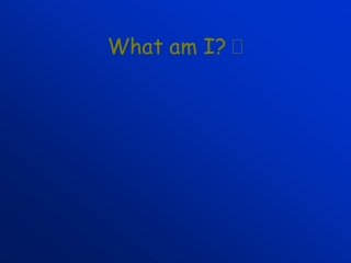 What am I? 