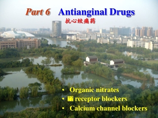 Part 6 Antianginal Drugs 抗心绞痛药