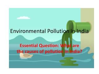 case study on environmental pollution in india