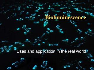 Bioluminescence
