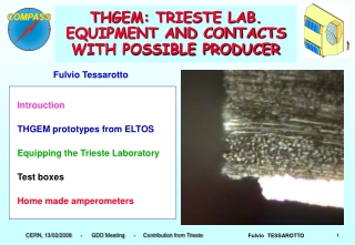 THGEM: TRIESTE LAB. EQUIPMENT AND CONTACTS WITH POSSIBLE PRODUCER