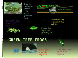 Green Tree Frogs end