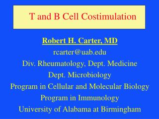 T and B Cell Costimulation