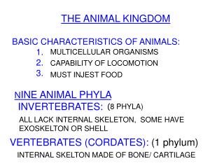 THE ANIMAL KINGDOM BASIC CHARACTERISTICS OF ANIMALS: 1. 						 2. 						 3. 					 N I