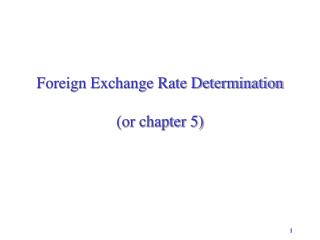 Foreign Exchange Rate Determination (or chapter 5)