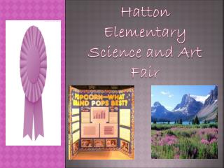 Hatton Elementary Science and Art Fair