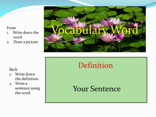 Vocabulary Word