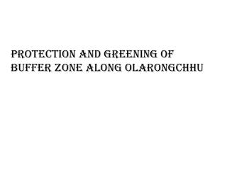 Protection and Greening of Buffer zone along Olarongchhu
