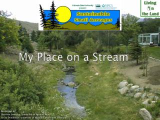 My Place on a Stream