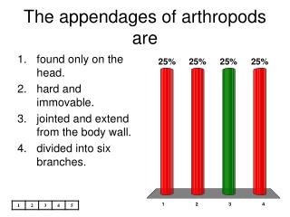 The appendages of arthropods are