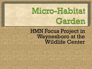 Micro-Habitat Garden