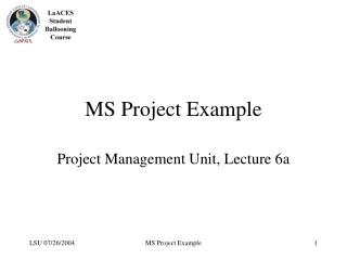 MS Project Example