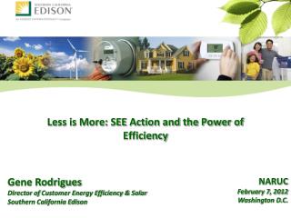 Less is More: SEE Action and the Power of Efficiency