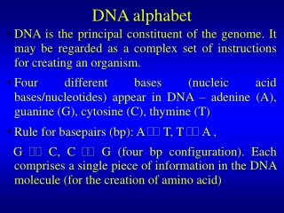 DNA alphabet