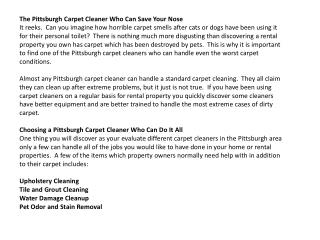 the pittsburgh carpet cleaner who can save your nose