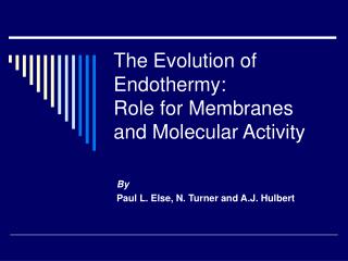 The Evolution of Endothermy: Role for Membranes and Molecular Activity
